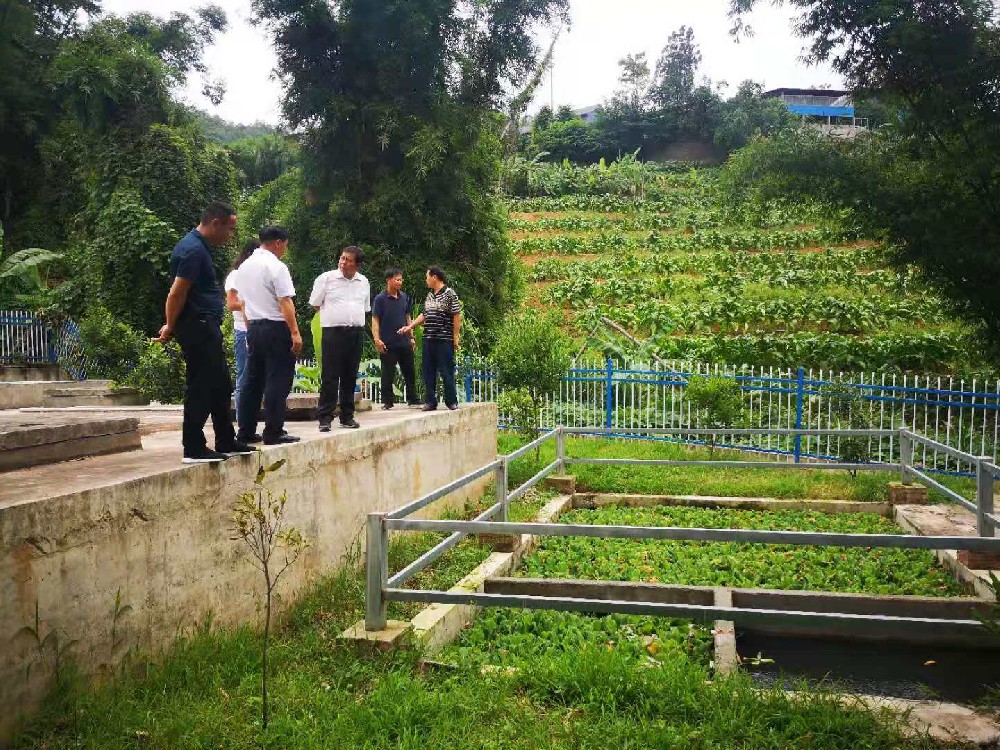 村鎮(zhèn)生活污水處理設備